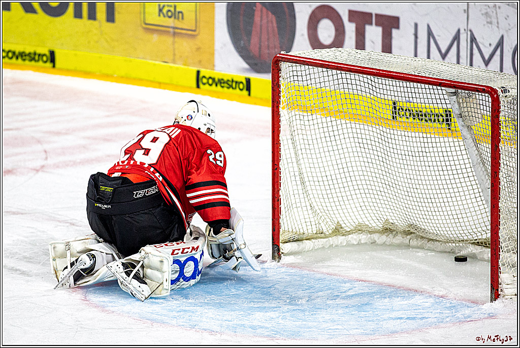 DEL;  Koelner Haie - Duesseldorfer e.G.; Koeln, 03.01.2020